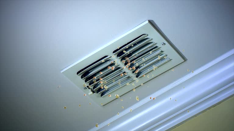 Best Local Air Duct Cleaning Services  in Amelia Court House, VA