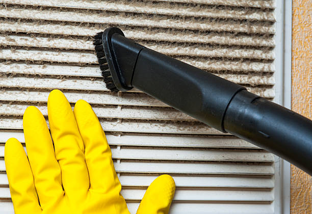 Best Home Air Vent Cleaning  in Amelia Court House, VA